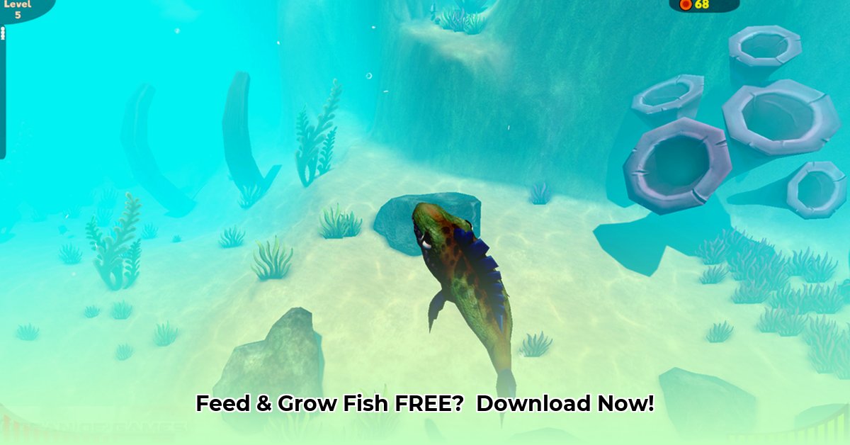 fish-feed-and-grow-free-download